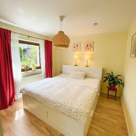 Souterrainwohnung Mit Grossem Garten Und Sauna カッセル エクステリア 写真