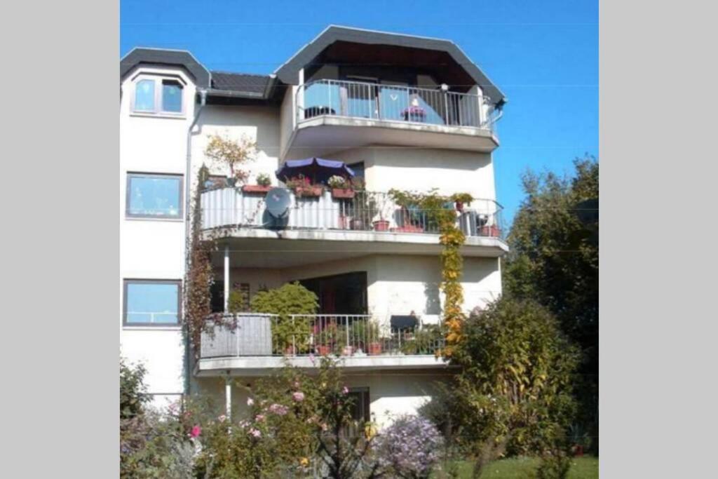 Souterrainwohnung Mit Grossem Garten Und Sauna カッセル エクステリア 写真