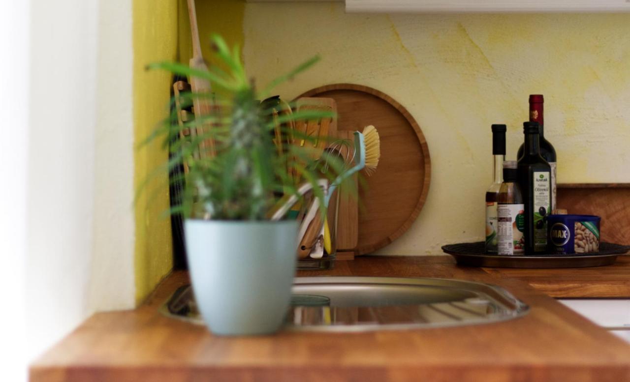 Souterrainwohnung Mit Grossem Garten Und Sauna カッセル エクステリア 写真