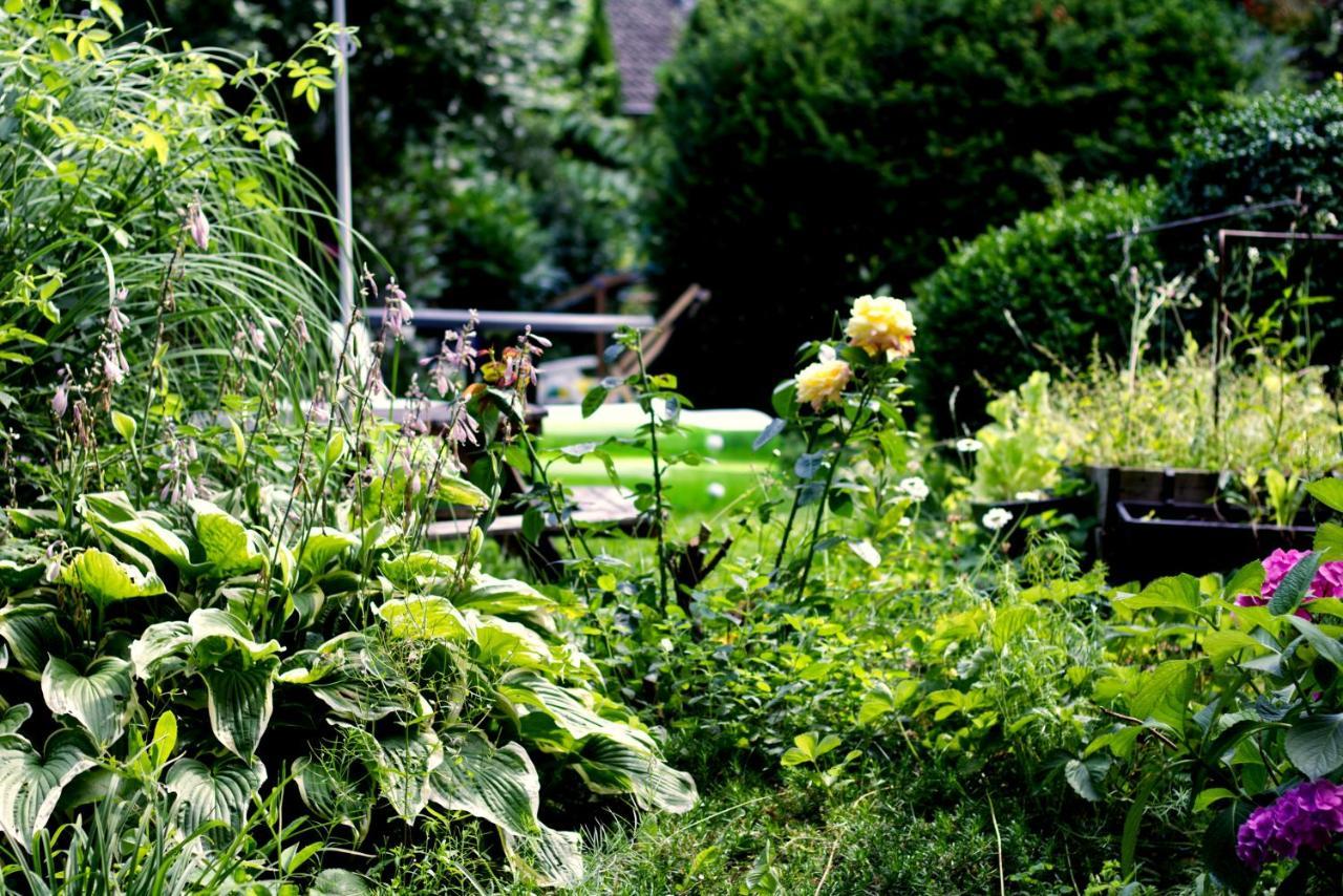 Souterrainwohnung Mit Grossem Garten Und Sauna カッセル エクステリア 写真